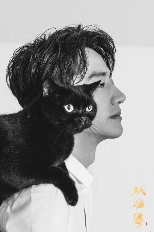 妖猫传染谷花絮,揭秘妖猫传染背后的奇幻旅程