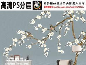 白梅的背景,傲骨寒香,千年风华的传承者 第2张 白梅的背景,傲骨寒香,千年风华的传承者 第2张