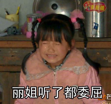 丽姐表情包你再说,网络时代的情感共鸣与社交新风尚