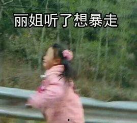 丽姐表情包你再说,网络时代的情感共鸣与社交新风尚  第2张