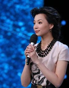 央视董聊个人资料,央视名嘴的个人风采与媒体影响力  第2张