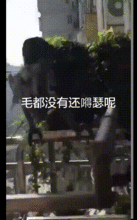 深夜搞笑图,笑出腹肌的瞬间! 第3张 深夜搞笑图,笑出腹肌的瞬间! 第3张