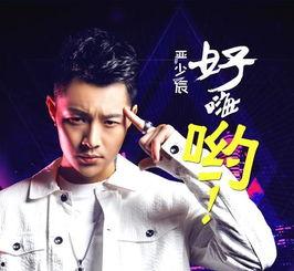 网红歌曲好嗨呦,好嗨呦！揭秘网红神曲背后的魅力与影响力