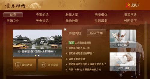 神州娱乐 上线时间,引领潮流，开启娱乐新时代