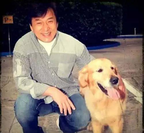 明星都养狗,揭秘娱乐圈狗狗们的幸福生活  第2张